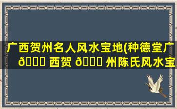 广西贺州名人风水宝地(种德堂广 🍁 西贺 🐕 州陈氏风水宝地)